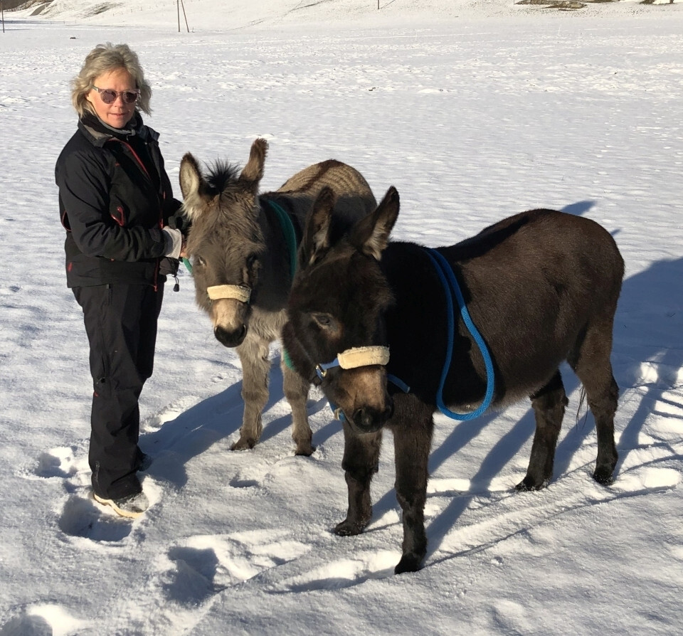 Veronika mit Peppino und Ciko im Schnee.